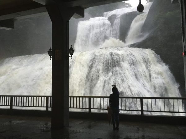 日本・茨城県「茨城県  袋田の滝」の写真：あまりの水量と、ダイナミックさにテンパっ...