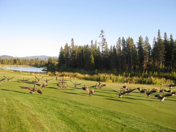 アメリカ(米国)・アメリカ「オレゴン親子旅行2008」の写真