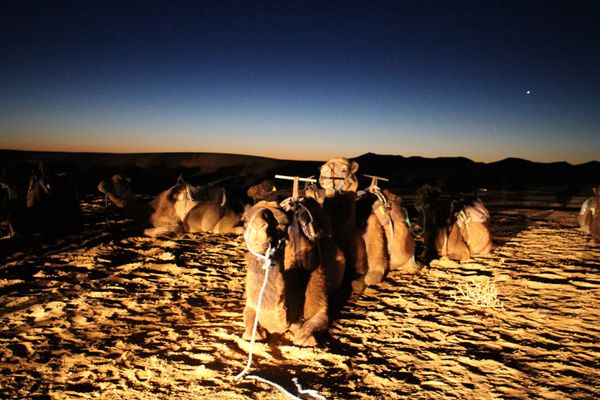 モロッコ「新婚旅行」の写真