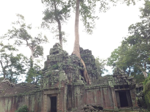 カンボジア「東南アジアバックパッカー旅」の写真