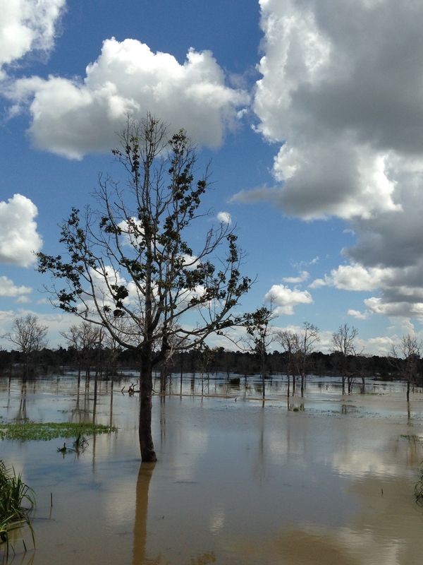 カンボジア「東南アジアバックパッカー旅」の写真