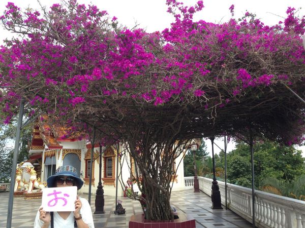 タイ「東南アジアバックパッカー旅」の写真