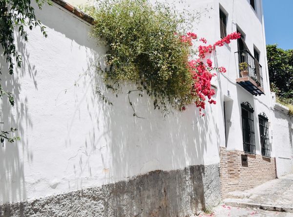 スペイン・グラナダ、ミハス、バルセロナ「スペイン」の写真：グラナダでフランス留学してた友人と合流🧡...