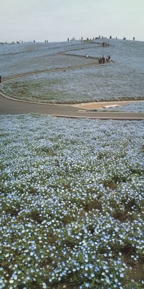 日本・日本全国「日本全国」の写真