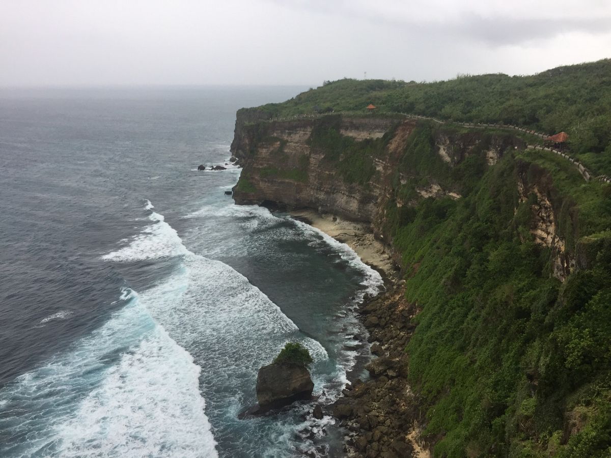 見たものいろいろ