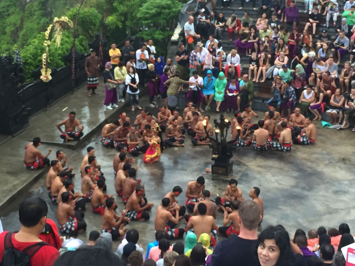 見たものいろいろ