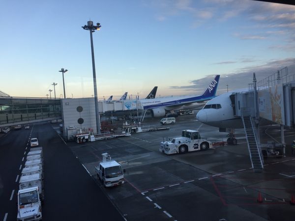 日本・大阪「宝塚 大阪」の写真：フライト✈️ANA
