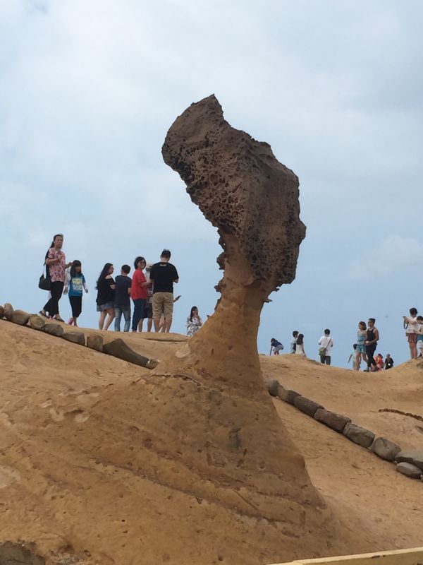台湾・台北「台湾」の写真