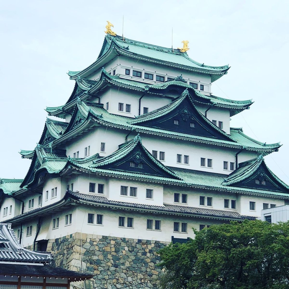 人生初の名古屋、金のシャチホコ、忍者アイス。