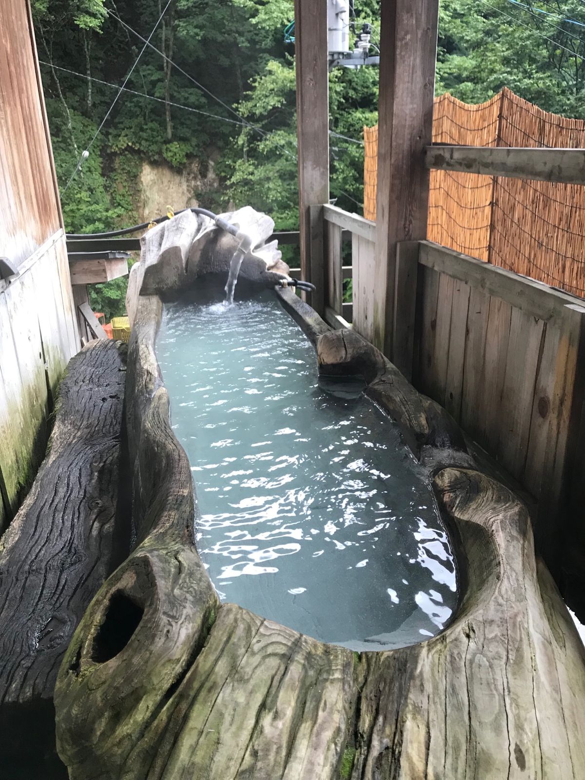 新高湯温泉の「吾妻屋旅館」

標高1126mの山あいに佇む一軒宿の秘湯

...