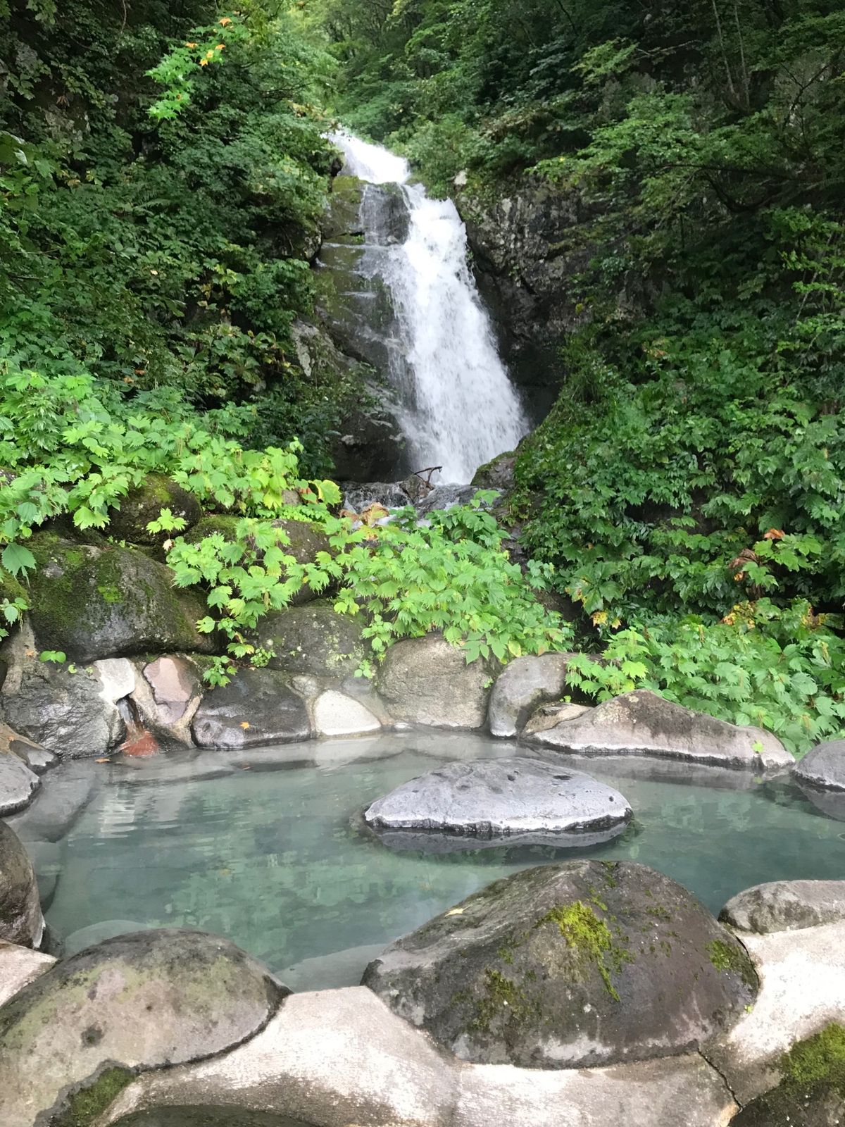 新高湯温泉の「吾妻屋旅館」

標高1126mの山あいに佇む一軒宿の秘湯

...