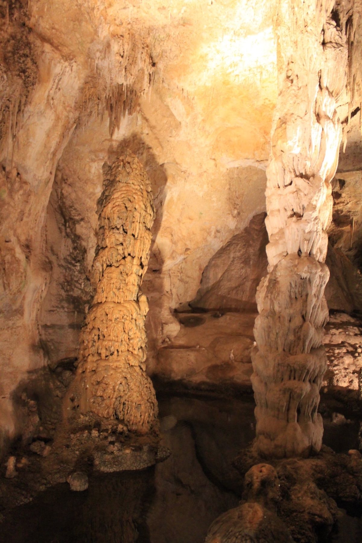 カールスバッド。洞窟の中は、かなり広いです。途中、休憩できるカフェがありま...