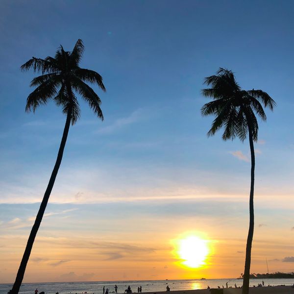 「ハワイ」の写真