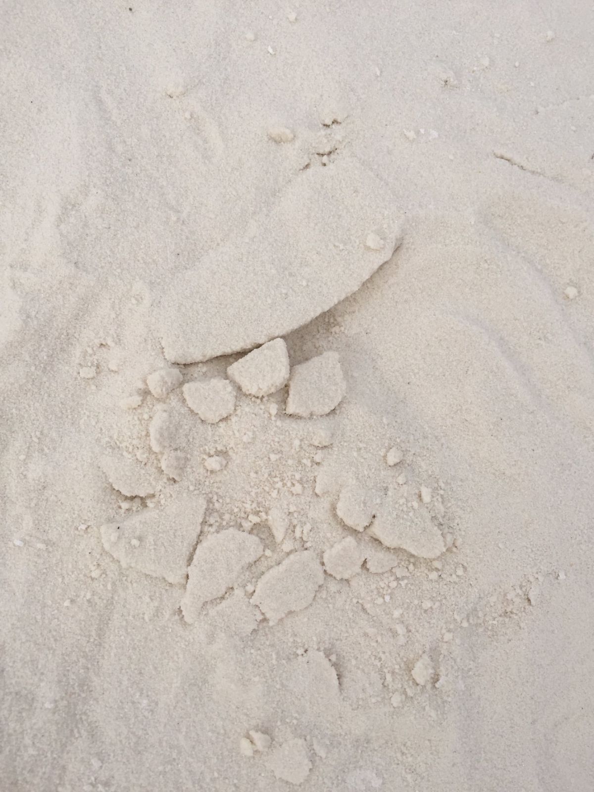 ホワイトサンズ。白いのは砂ではなく、ギプスの素になる石膏です。赤いボードみ...