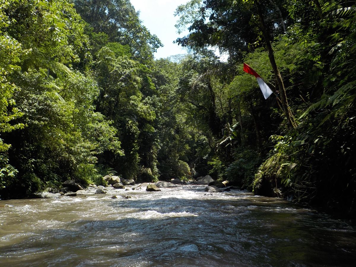 南国は大好きですが、マリンスポーツはほぼしない。私は川の方が好きだからw
...