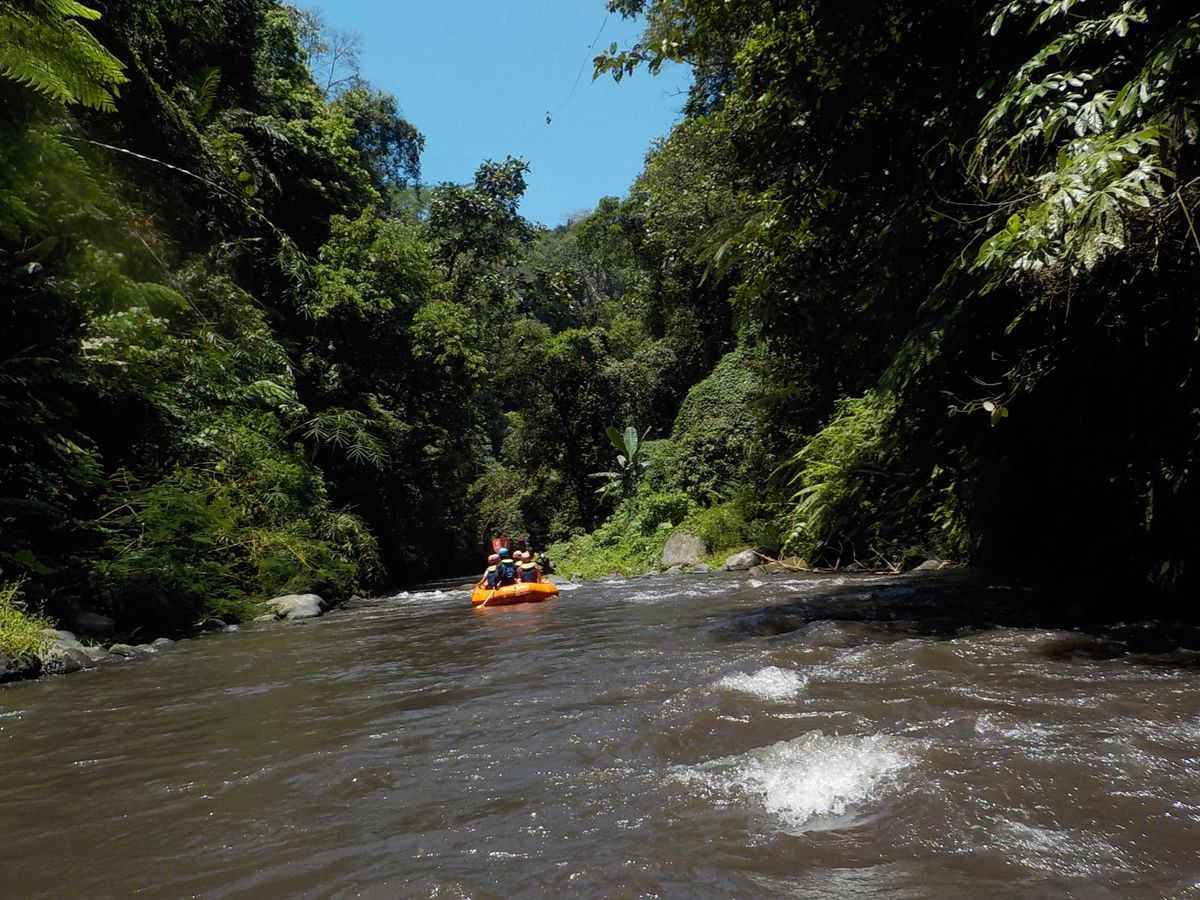 南国は大好きですが、マリンスポーツはほぼしない。私は川の方が好きだからw
...