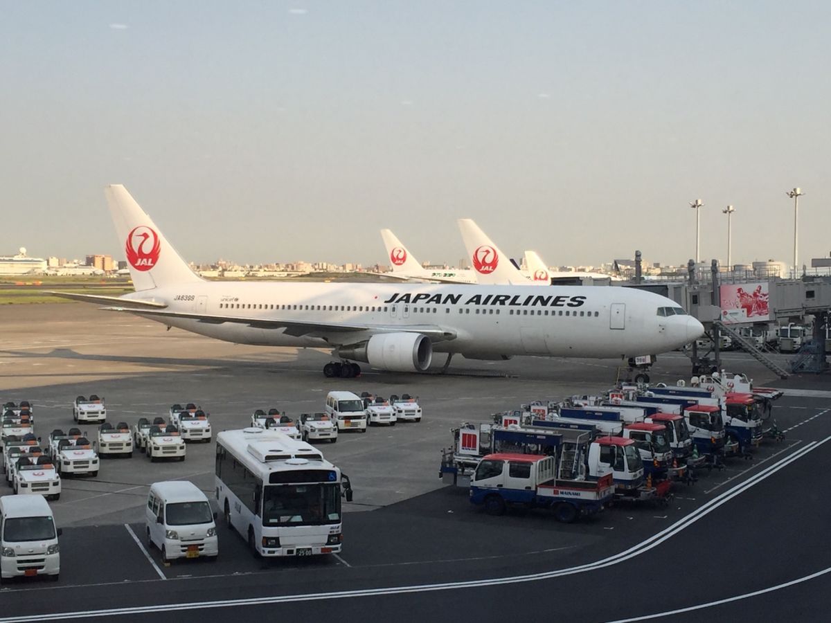 フライト✈️JAL