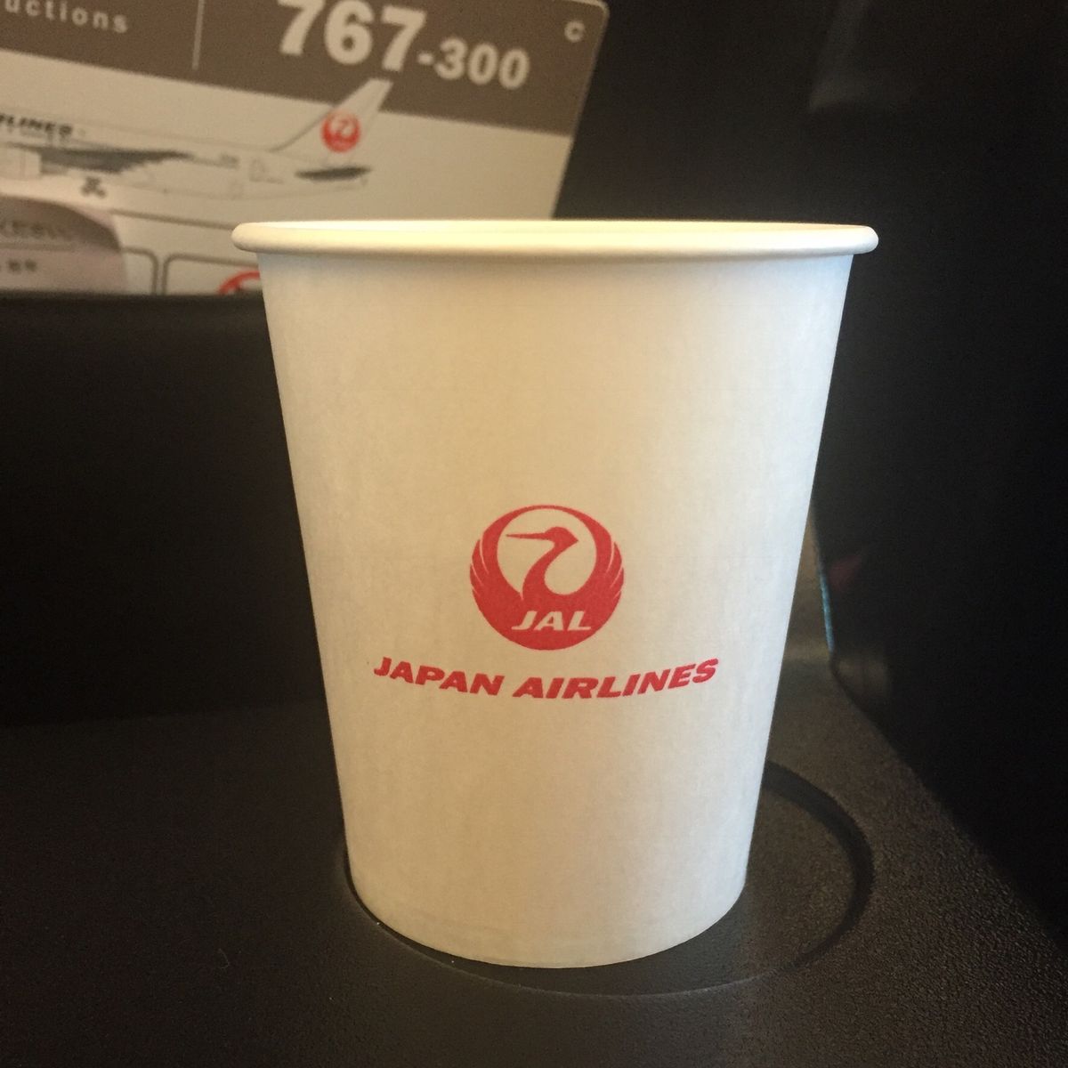 フライト✈️JAL