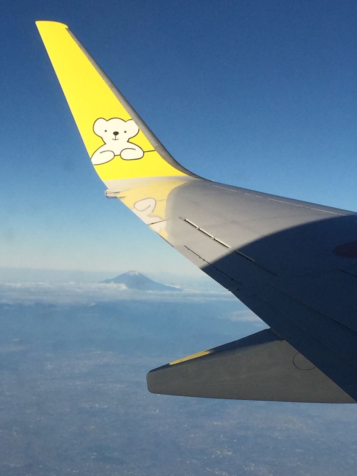 フライト✈️AIR DO