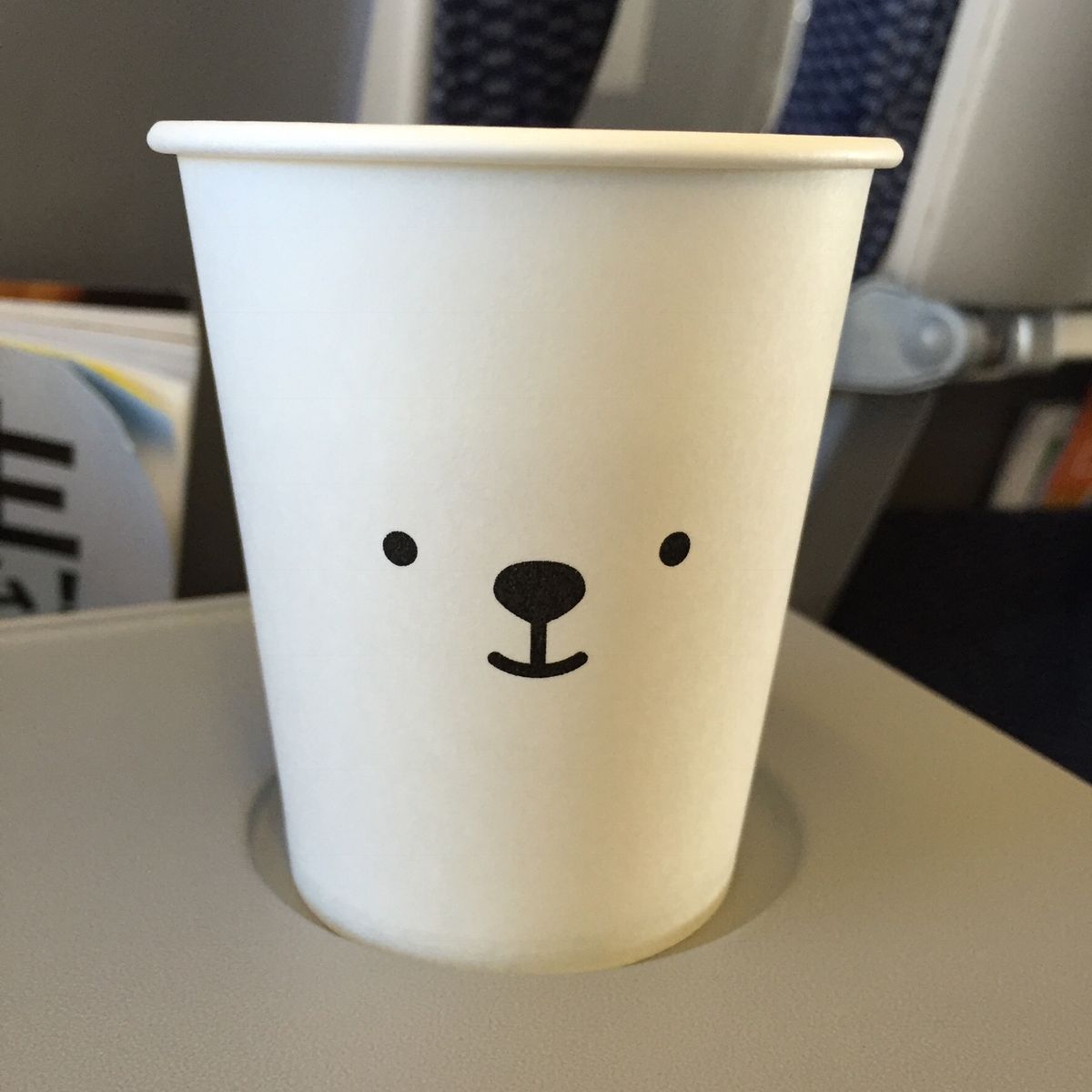 フライト✈️AIR DO