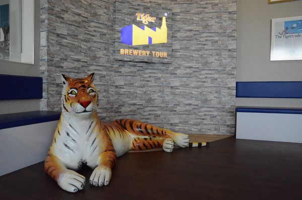 シンガポール・シンガポール「モヤさまスポット巡礼inシンガポール」の写真