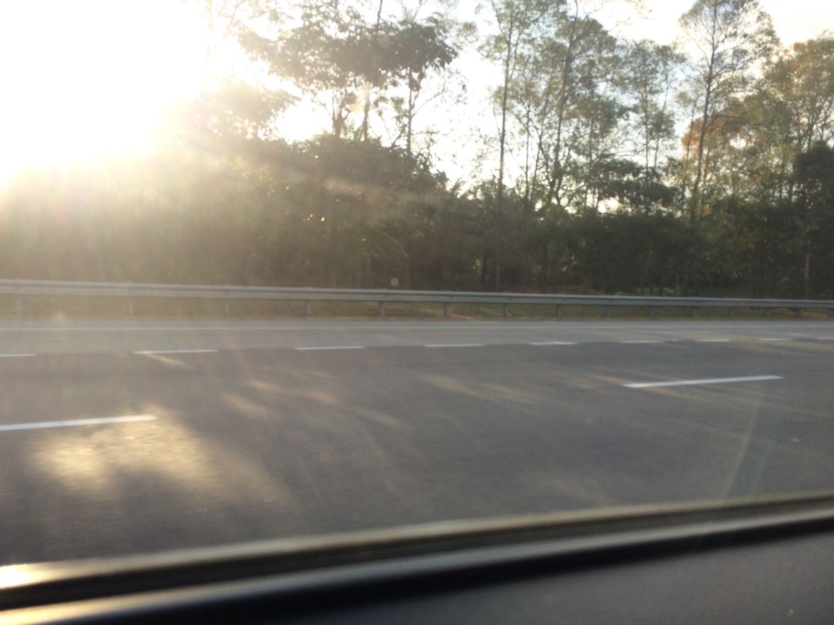 Season of Chinese New Year.
春節の頃のKLです。