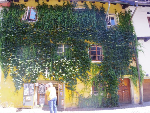 チェコ共和国・プラハ「ミュシャを訪ねてチェコ旅」の写真：チェスキークルムロフの映えスポット。たく...