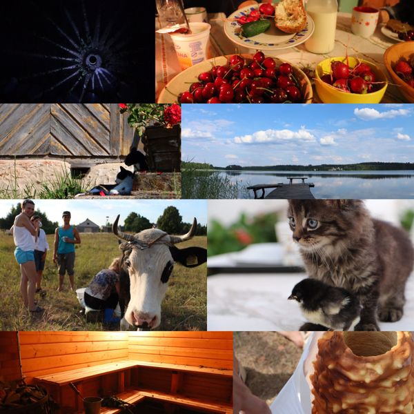 ポーランド・Warsaw「北半球放浪記 2017-18 🇵🇱」の写真：Kukule