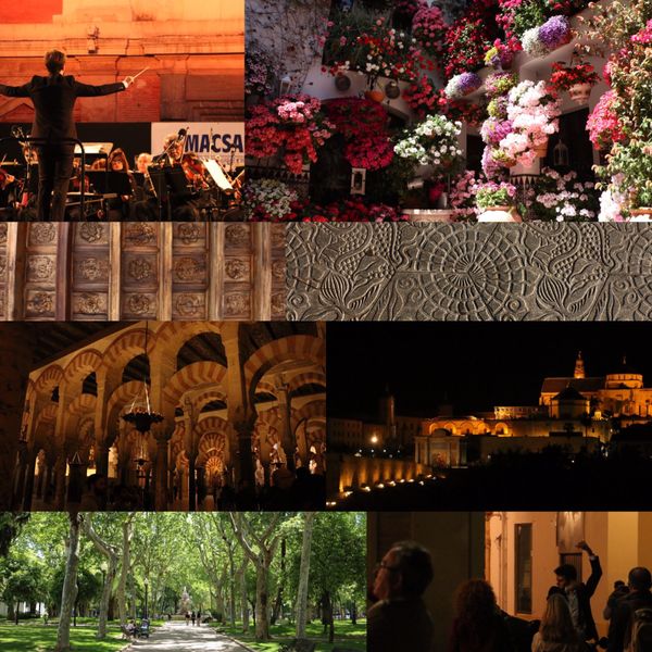 スペイン・Madrid「北半球放浪記 2017-18 🇪🇸」の写真：@Cordoba