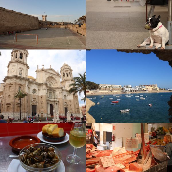 スペイン・Madrid「北半球放浪記 2017-18 🇪🇸」の写真：@Cadiz