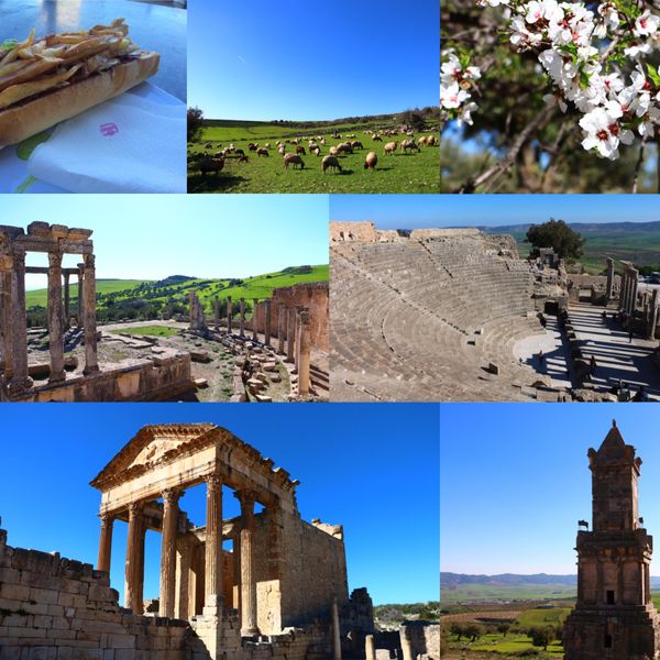 チュニジア・Tunis「北半球放浪記 2017-18 🇹🇳」の写真：@Dougga