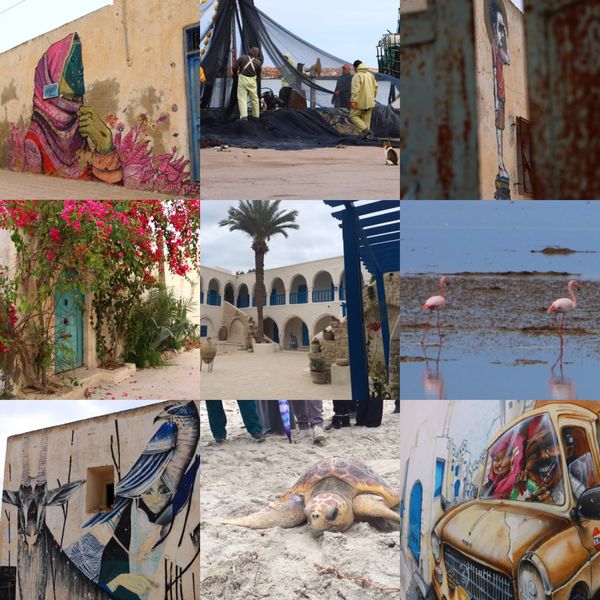 チュニジア・Tunis「北半球放浪記 2017-18 🇹🇳」の写真：@Djerba