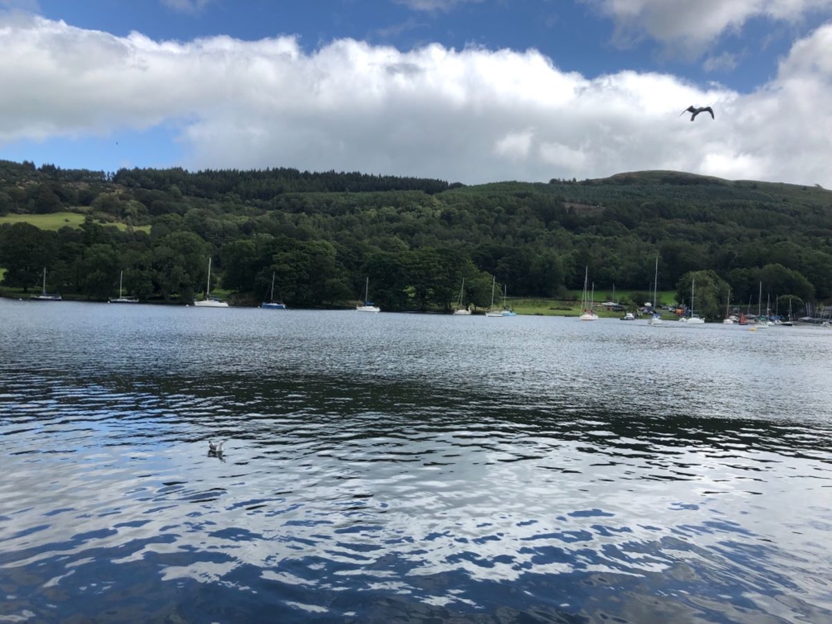 Windermereに宿泊して、ピーターラビットの故郷Hilltopにも。