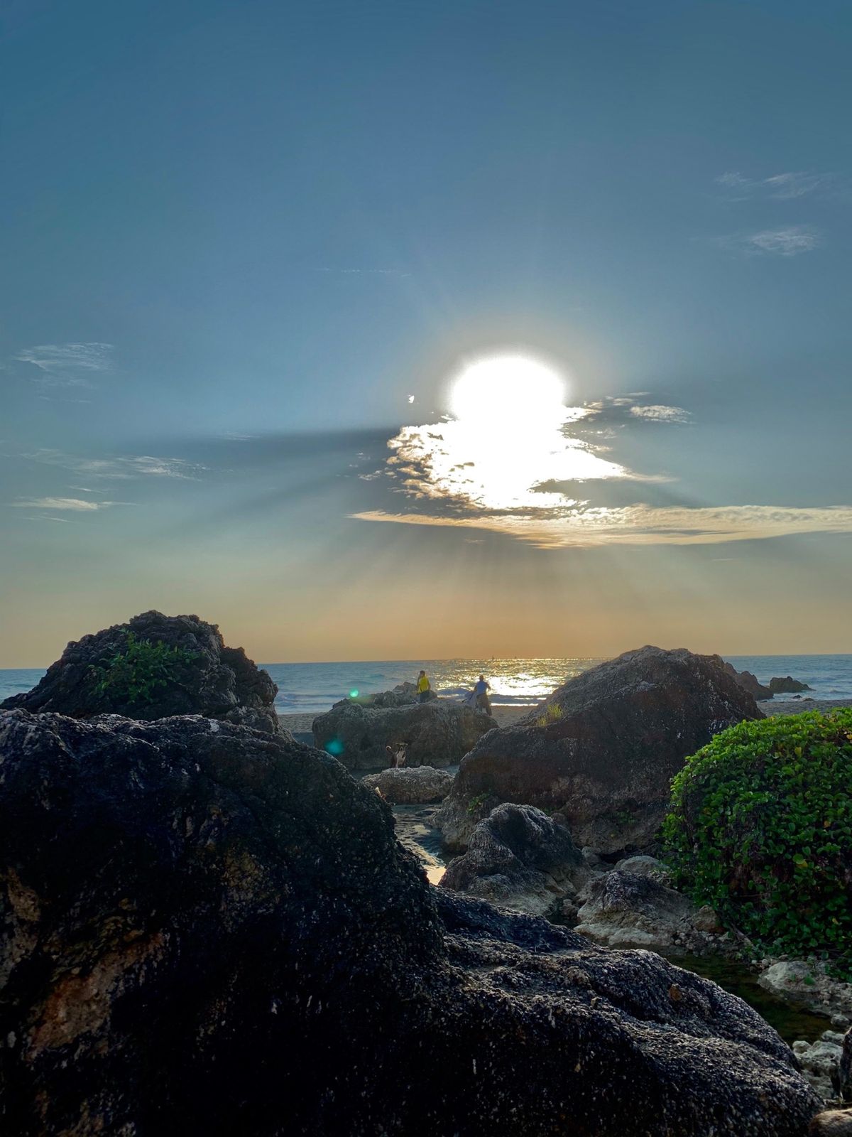 西子湾のさらに奥の柴山秘境へ。健全な西子湾と違って、ヒッピー臭の漂うタイの...