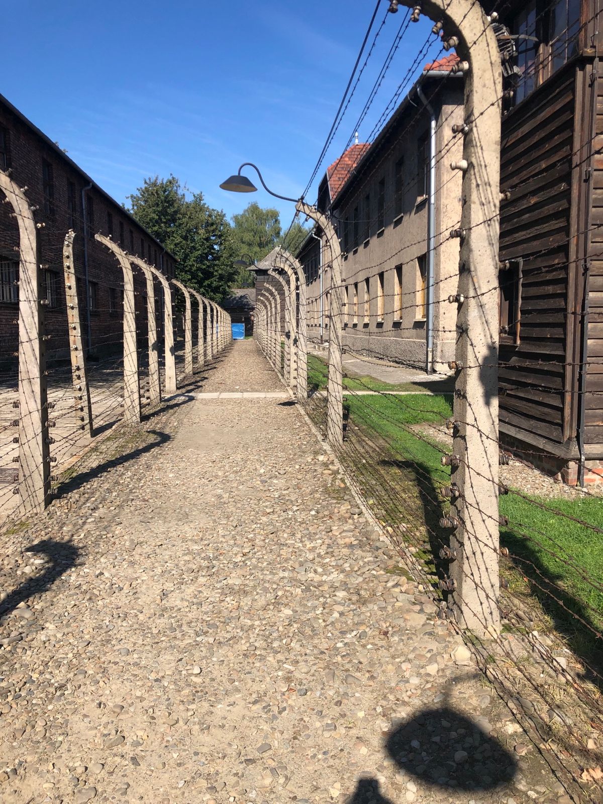 #アウシュビッツ強制収容所
#絶滅収容所