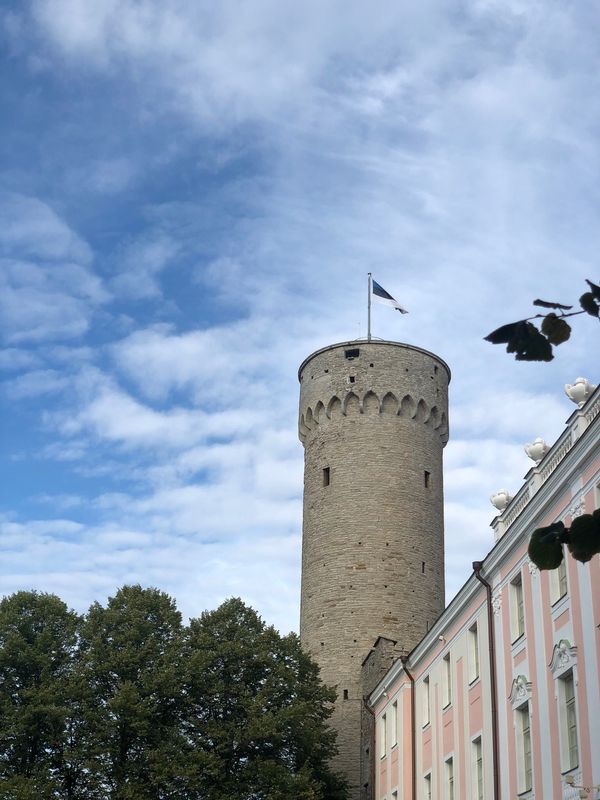 エストニア「バルト3国andポーランド」の写真