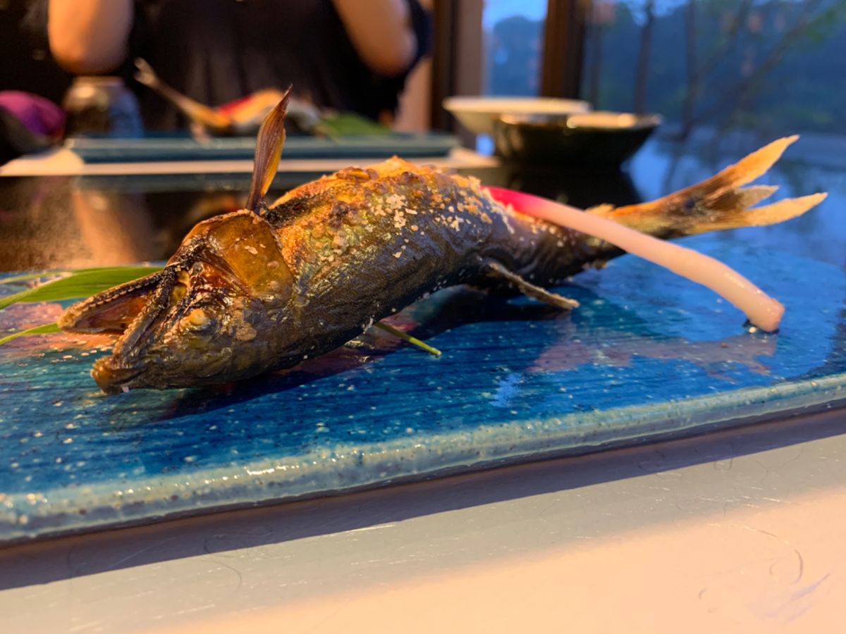 鵜飼の舟の前の晩餐。
たいして鮎ずくしでも無いよと言われていたが、完全に...