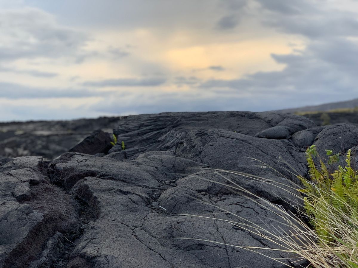 マウナケア山、キラウエア火山
母校(4枚目)