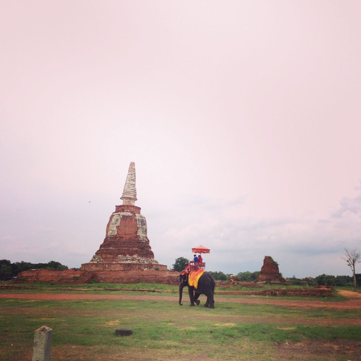 トムヤムクンは毎食食べた