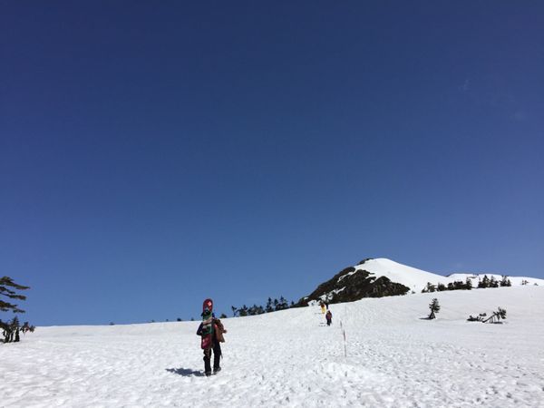 日本・尾瀬「尾瀬登山」の写真