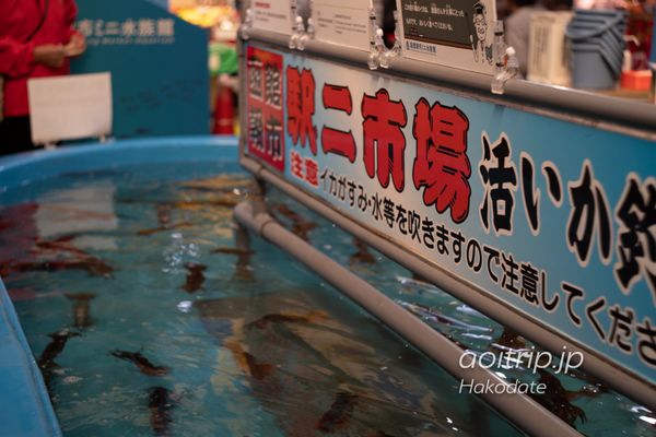 日本・函館「函館に籠もる」の写真：函館駅前にある函館朝市のイカ釣り

海外...