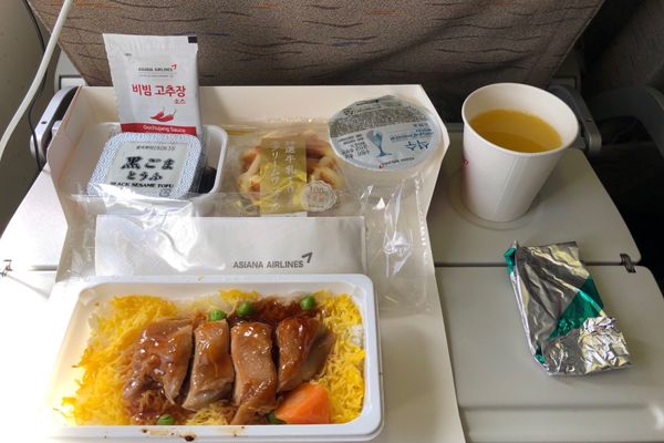 ウズベキスタン・タシケント、サマルカンド「ウズベキスタン🇺🇿旅行」の写真：成田発タシケント行き。仁川経由の道中。空...