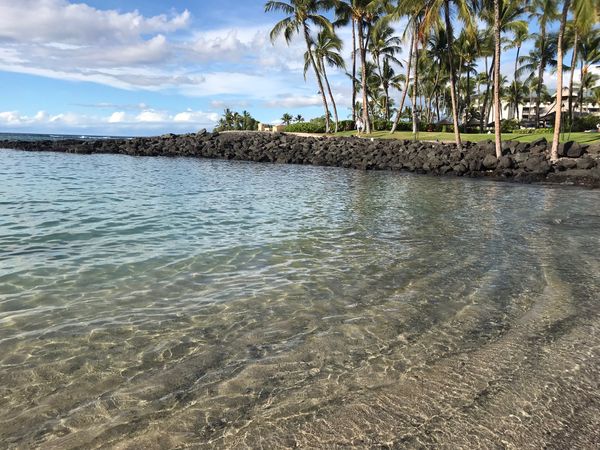 アメリカ(米国)「ハワイ島 2018」の写真