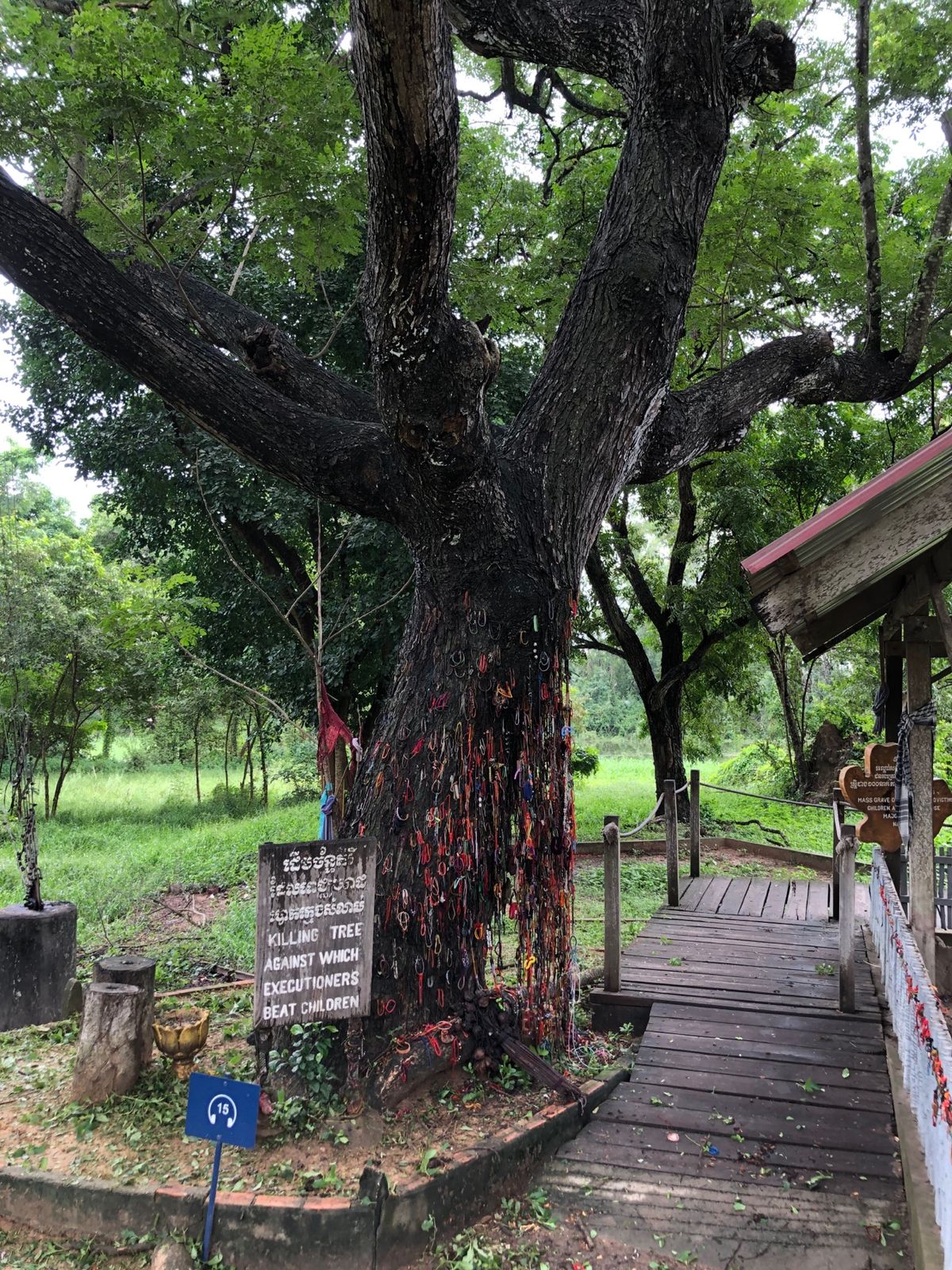 初のプノンペン 
最高でした‼️