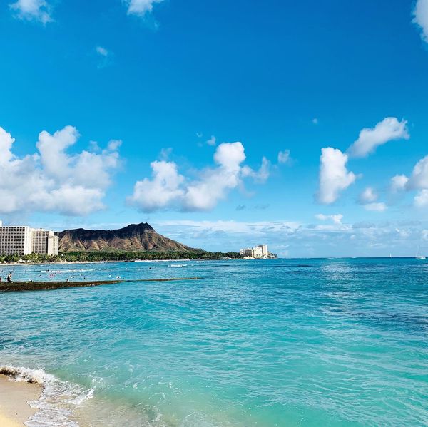 アメリカ(米国)・ハワイ「ハワイ」の写真