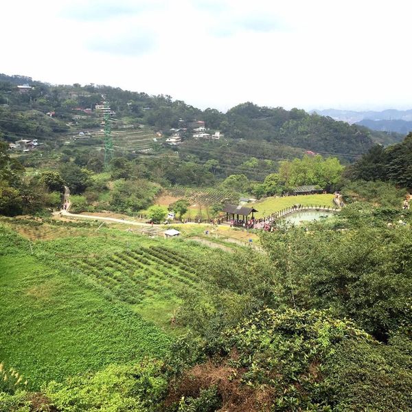 台湾・士林夜市「久々台北」の写真