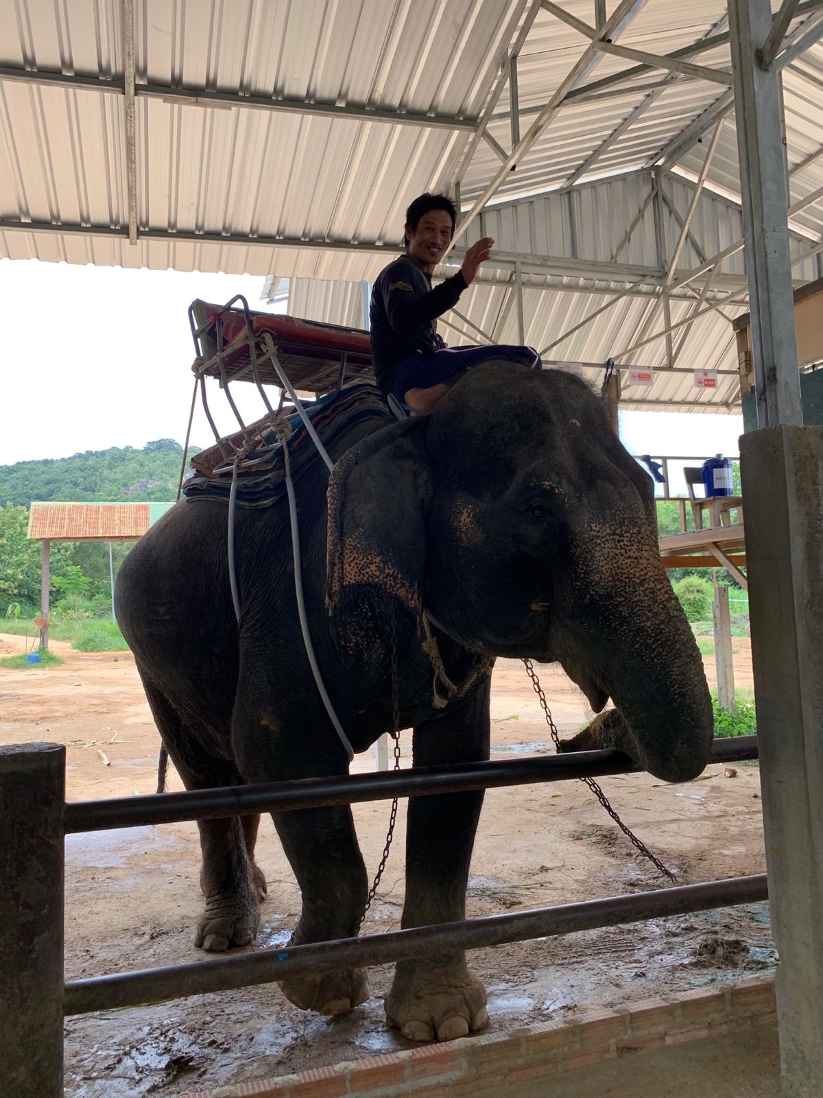 プーケット到着！

1日目
＊ぞうさんに乗った
＊ホテルチェックイン
＊パ...