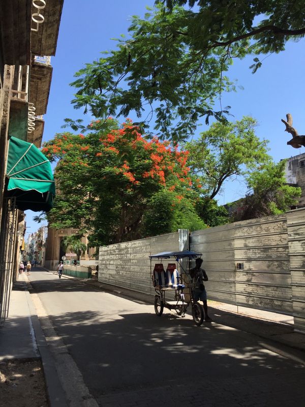 キューバ・ハバナ「キューバ🇨🇺サルサレッスン旅」の写真