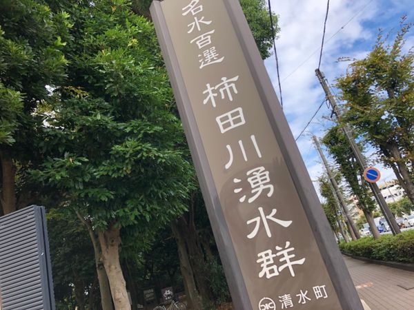 日本・静岡「三島」の写真：柿田川湧水群が見られる柿田川公園