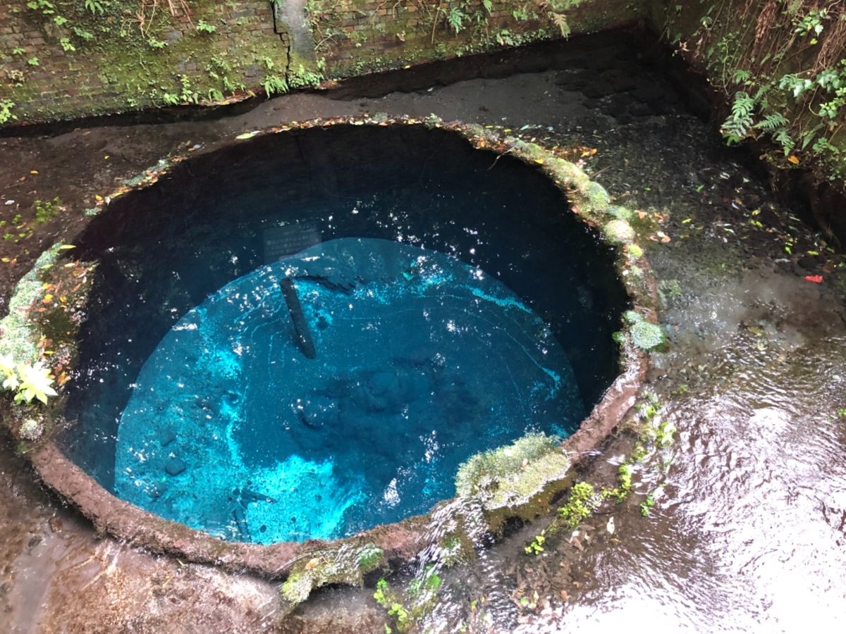 柿田川湧水群が見られる柿田川公園